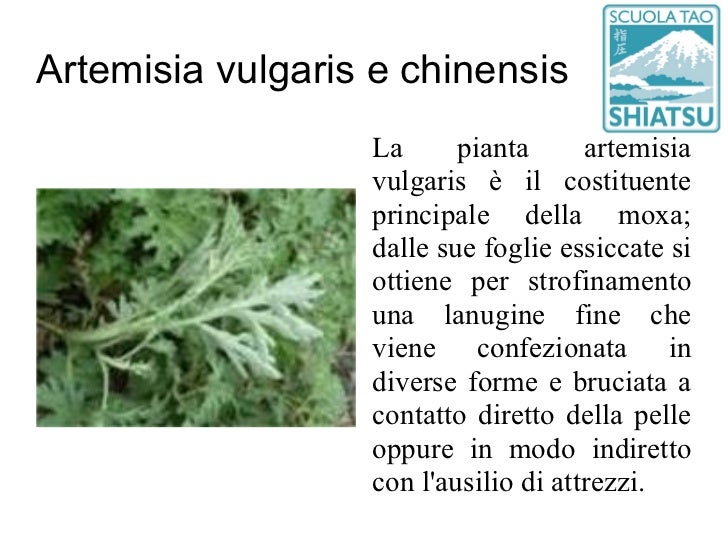 Ho smesso di fumare citazioni