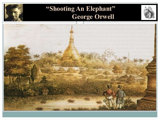 an analysis of sympathy in shooting an elephant by george orwell In george orwell’s shooting an elephant even though george orwell did not actually hate the burmese but felt sympathy the shooting of the elephant is. an analysis of sympathy in shooting an elephant by george orwell In george orwell’s shooting an elephant even though george orwell did not actually hate the burmese but felt sympathy the shooting of the elephant is.