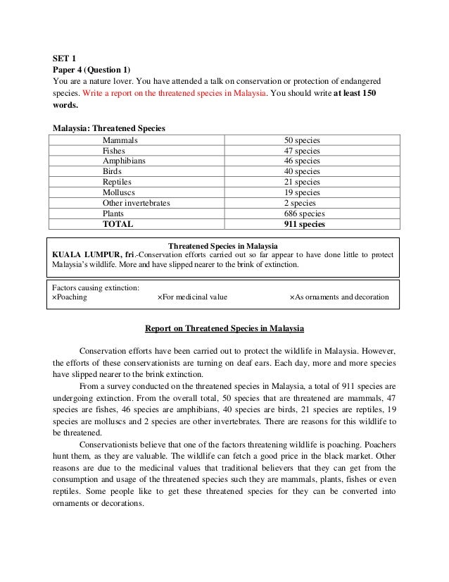 essay on muet essay on muet