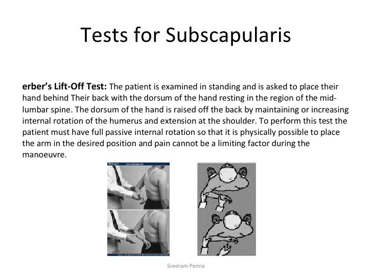 Shoulder Examination