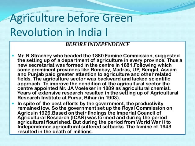 Population Problem In India Essay
