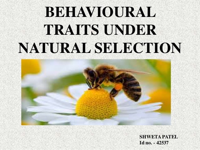 behavioural-traits-under-natural-selection-1-638.jpg?cb=1431630129