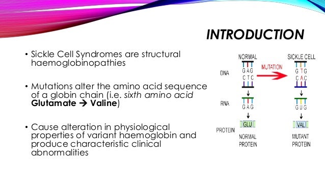an introduction to the sickle cell disease Sickle cell disease is caused by an alteration in a single dna base, but its clinical manifestations are influenced by other genes and behavioral and environmental. an introduction to the sickle cell disease Sickle cell disease is caused by an alteration in a single dna base, but its clinical manifestations are influenced by other genes and behavioral and environmental.