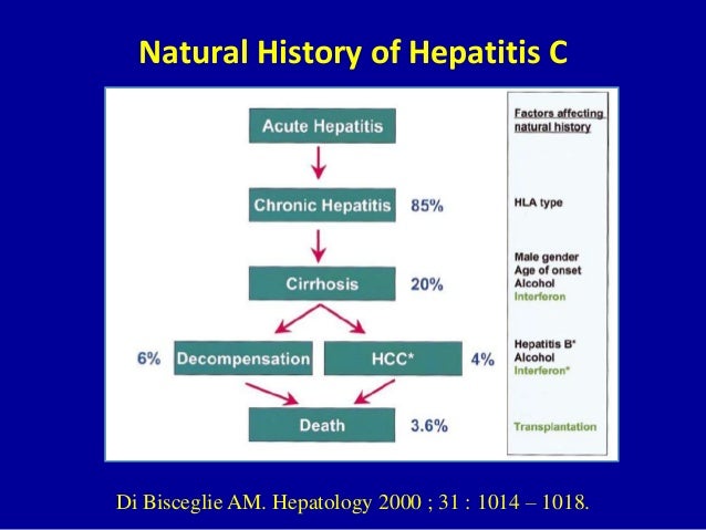 Natural History Of Chronic Hepatitis C Natural History Of Chronic Hepatitis C