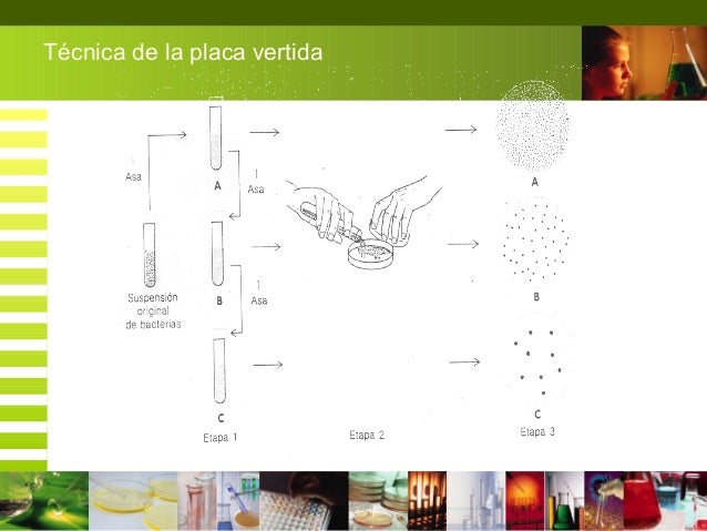 Como arrojar kg en unos días