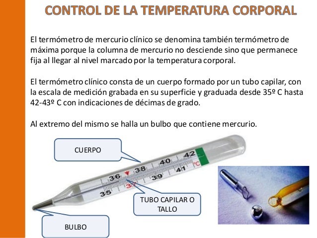 Imagenes del termometro de mercurio y sus partes - Imagui