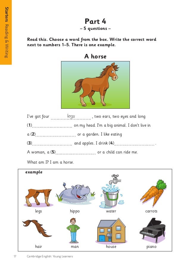 Simulado Cambridge Starters