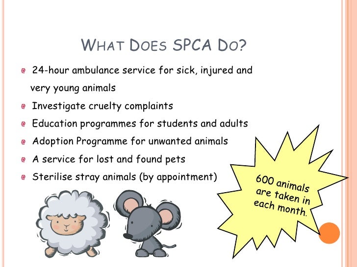 Sin eng46 pet ranger stop animals abuse!