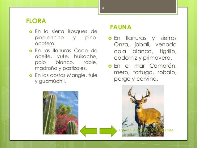 Flora Y Fauna Del Estado De Sinaloa