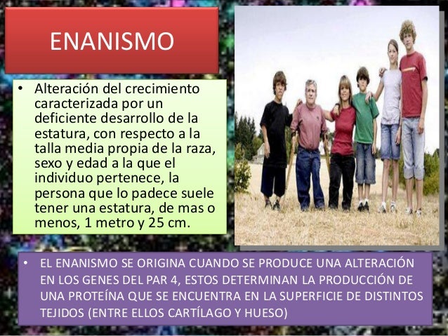 Que Pertenece A Una Raza Africana De Baja Estatura