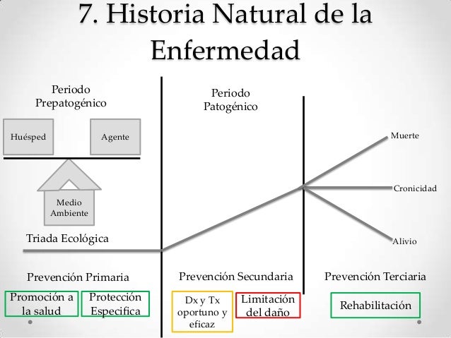 La eccema el aceite del geranio