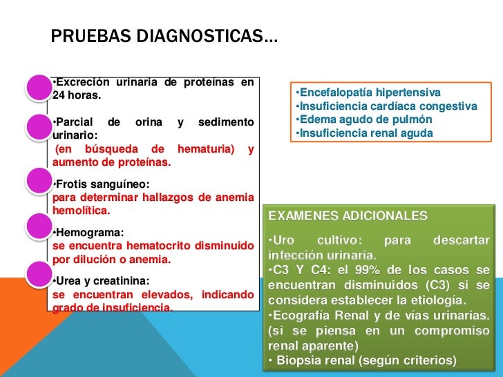 Sindrome nefritico Sindrome nefritico
