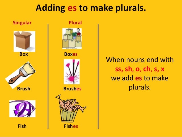 Homework help with plural nouns