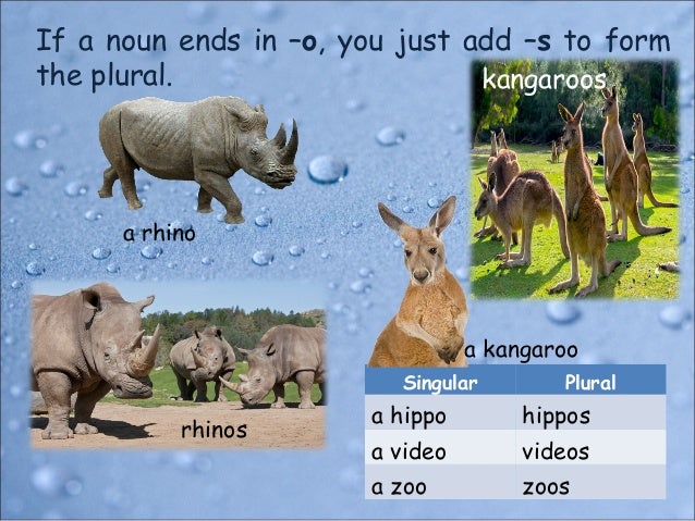 Singular and Plural Nouns