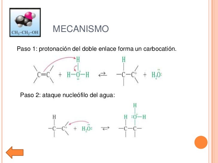 Sintesis de etanol, exposicion