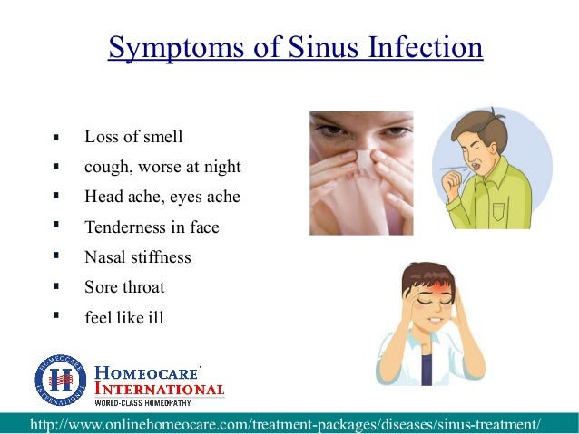 How To Treat Post Nasal Drip In Dogs How To Treat Post Nasal Drip In Dogs
