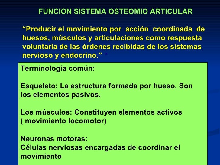 18 Enfermedades del Sistema seo y Prevenci n