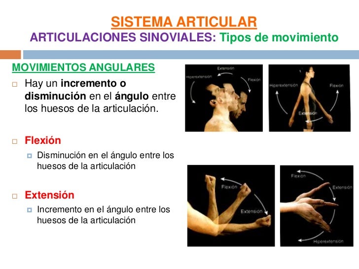 Sistema articular