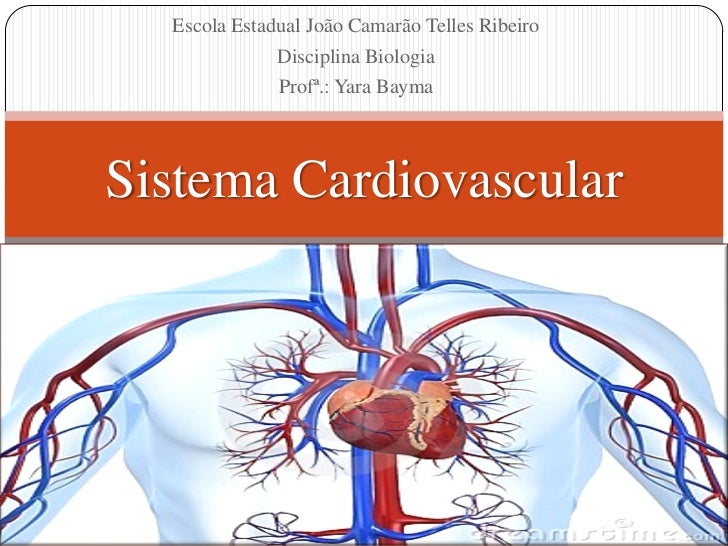 sistema cardio