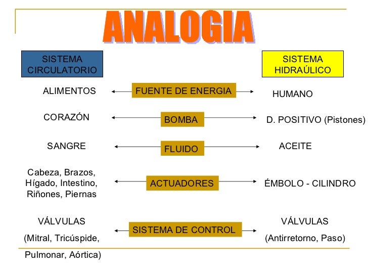 Sistema circulatorio Vs Sistema Hidráulico Sistema circulatorio Vs Sistema Hidráulico
