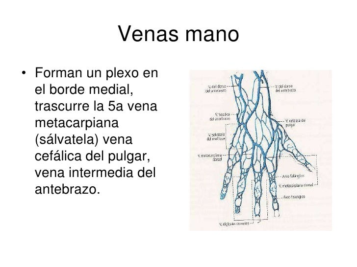 El peso en los pies a varikoze que curar