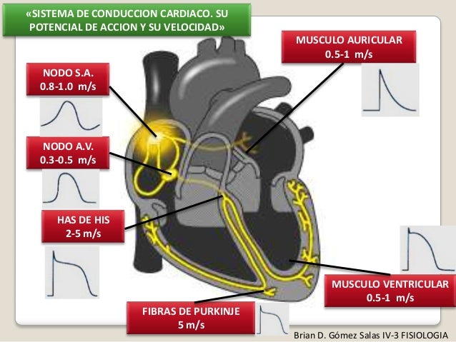 Electrocardiografía