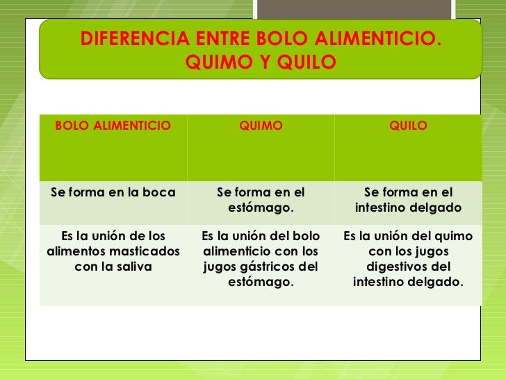 Resultado de imagen para proceso de digestión gastrointestinal