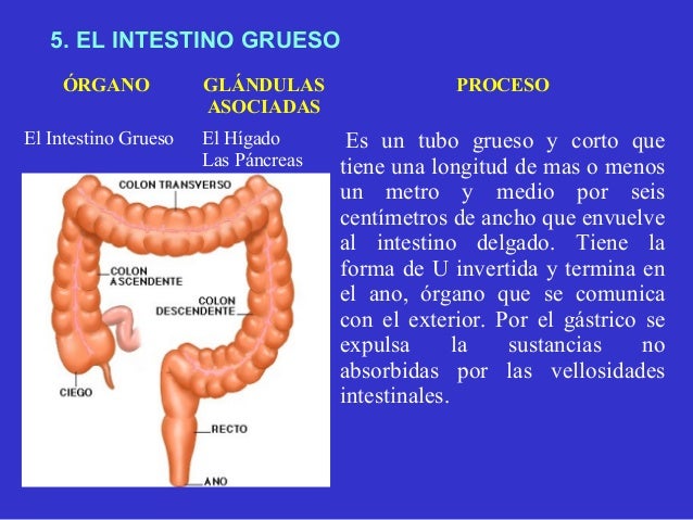 Como sacan a los parásitos de la persona del vídeo