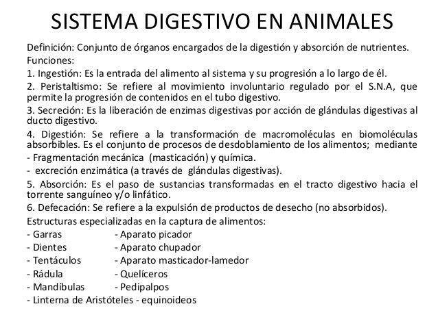 EL PROCESO DIGESTIVO DE LOS ANIMALES el proceso digestivo de los animales: