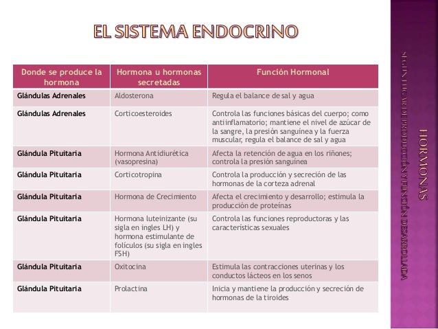 Sistema Endocrino - Generalidades - La Hormona: Caracteristicas y Fun…