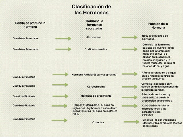 Sistema Endocrino Presentación PDF Sistema Endocrino Presentación PDF