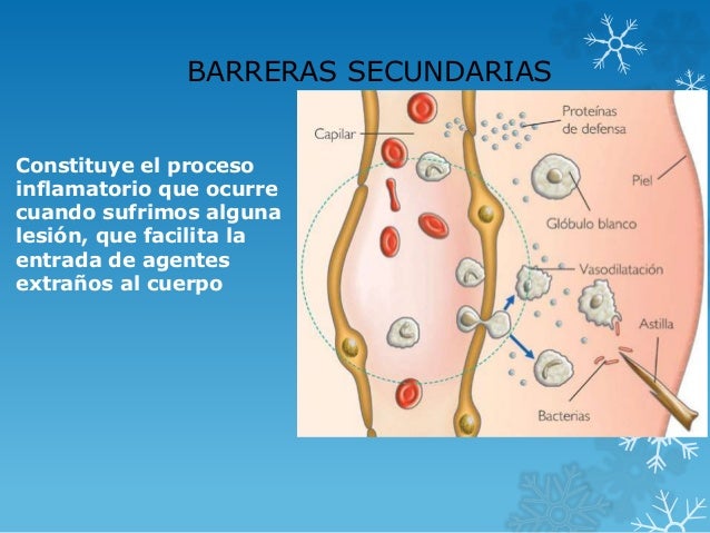 Sistema inmune