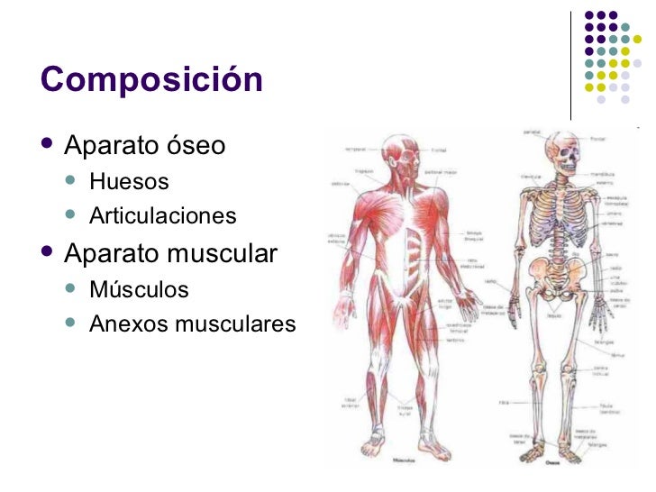 Sistema Sistema