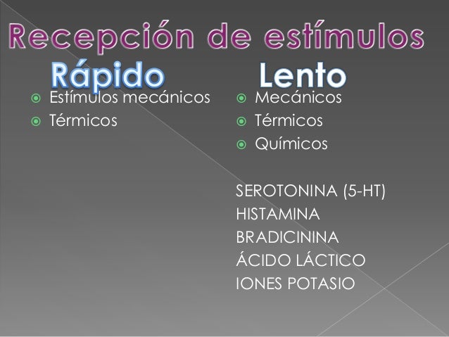 Sistema Opioide Endogeno y Vías del Dolor Sistema Opioide Endogeno y Vías del Dolor
