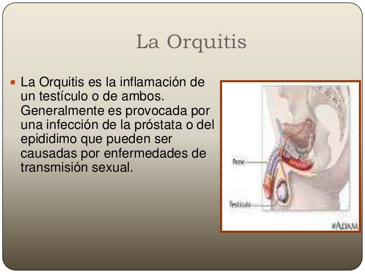 Las pastillas que suben la potencia al hombre