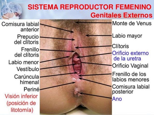 Del alcoholismo la medicina el preparado