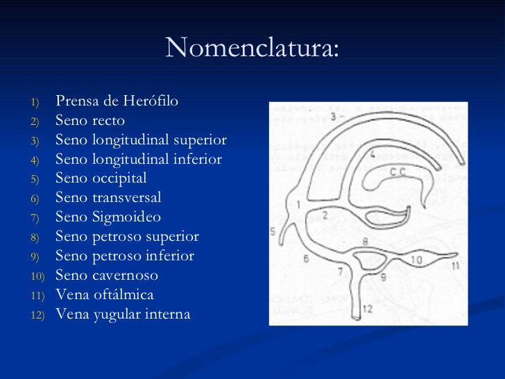 Los preparados para el tratamiento de la trombosis exterior gemorroidalnyh de los nudos