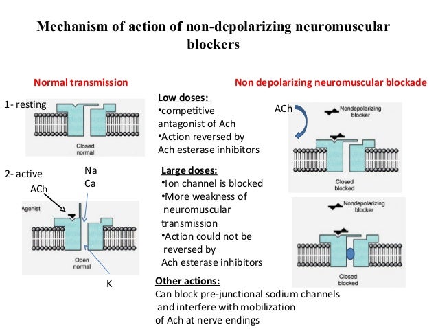 skeletal muscle relaxants mechanism of action flow chart