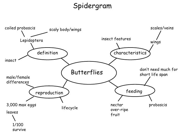 Venn Diagram Comparing Drama To Fiction