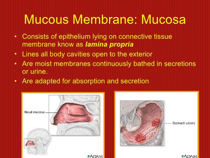 Skin and body membranes
