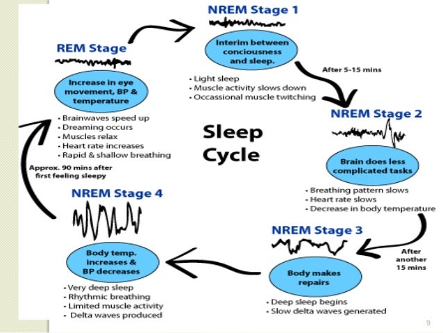 effect of the menstrual cycle on sleep pattern But isn’t one of the virtues of the birth-control throughout the three-week active pill cycle” “some women may notice a more stable sleep pattern . effect of the menstrual cycle on sleep pattern But isn’t one of the virtues of the birth-control throughout the three-week active pill cycle” “some women may notice a more stable sleep pattern .