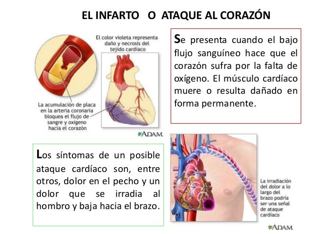 Desnudo krasotki con un pequeño pecho