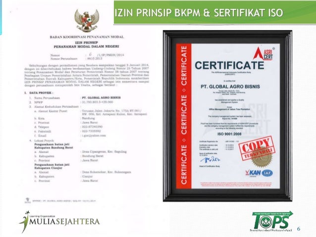 gist sertifikat i I Syariah Tabungan Investasi GIST~ Kayu gist sertifikat i I Syariah Tabungan Investasi GIST~ Kayu