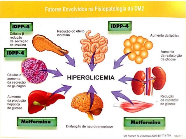 Artigos sobre diabetes mellitus Artigos sobre diabetes mellitus