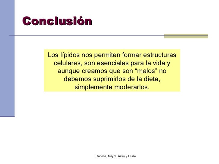 Lipidos