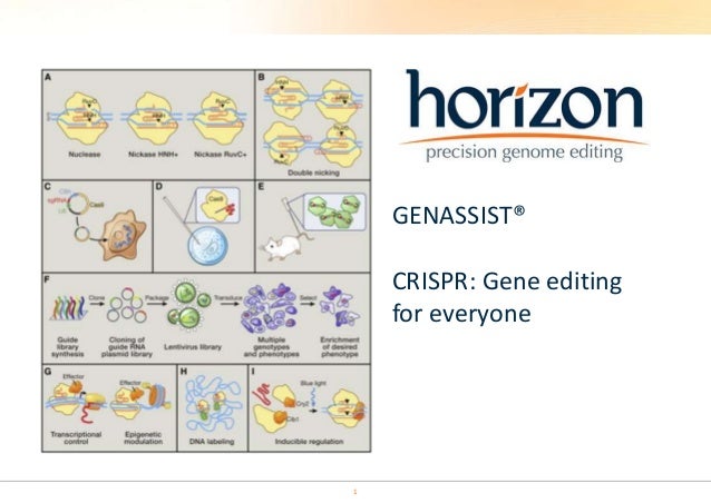 crispr gene editing for everyone crispr gene editing for everyone