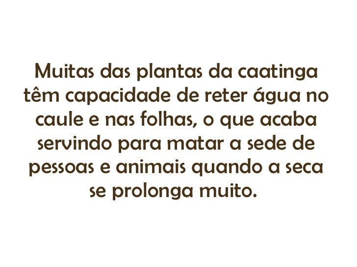Plantas Tìpicas da Caatinga Plantas Tìpicas da Caatinga