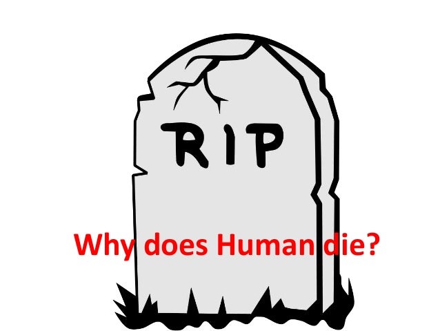Image result for why human die