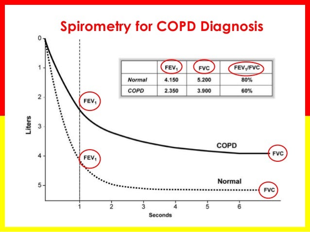 2019 year - Symptoms and Diagnosis of COPD 2019 year