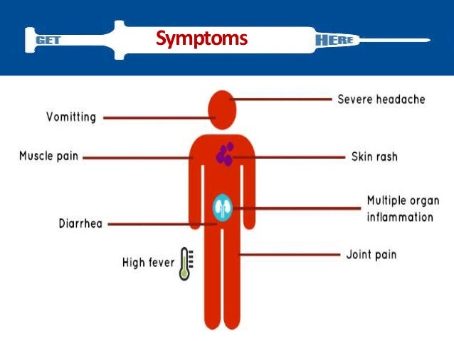 The Skin Physical Examination - SIU School of Medicine